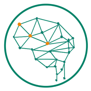 Neuro Somatic Intelligence