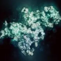 NSI Breaking the autoimmune cycle workshop image